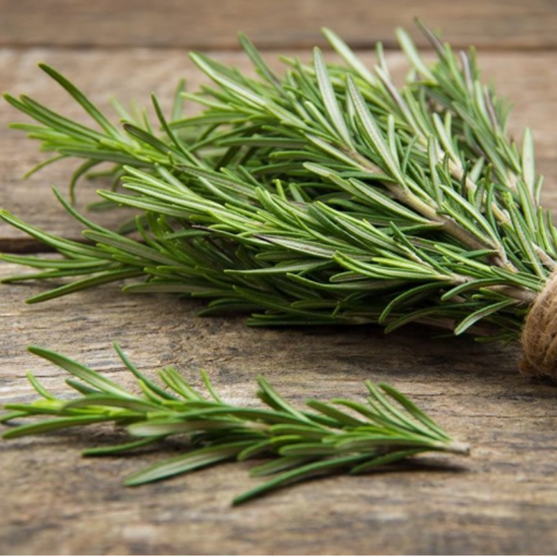 HERB ROSEMARY (BAR)