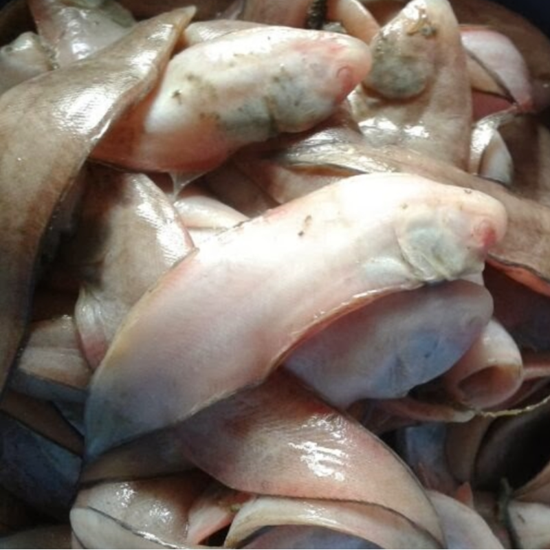 Manthal/Nangu big size 