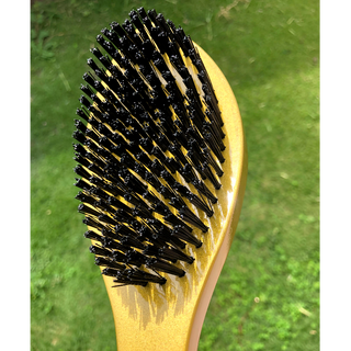 Gold Handled Brush