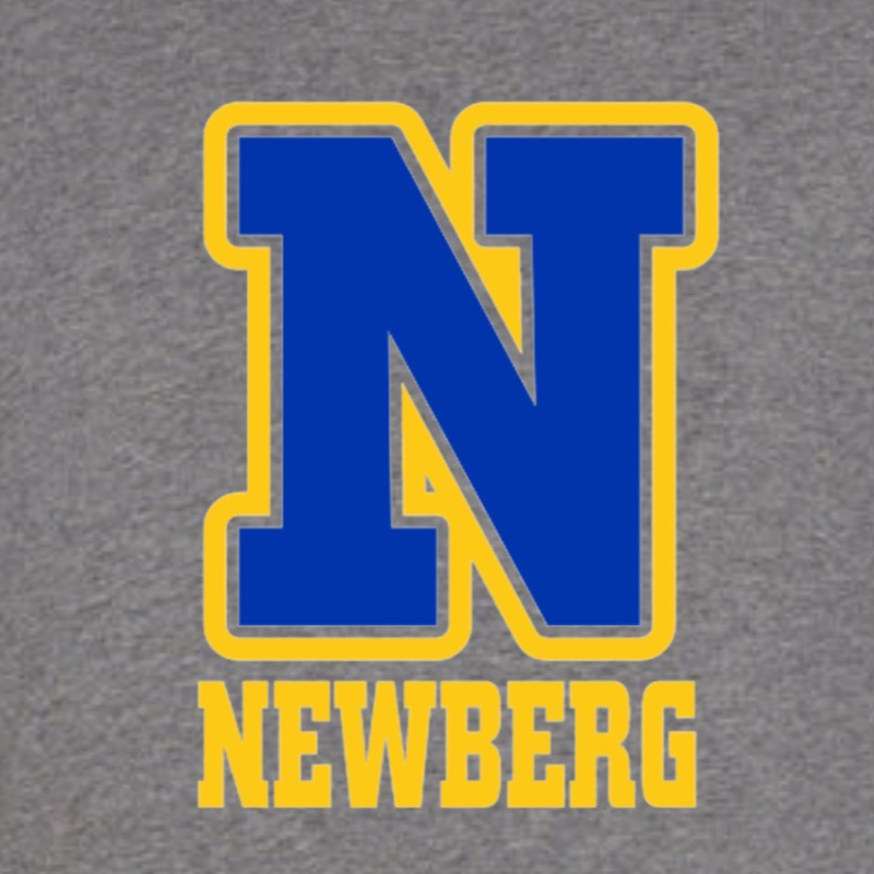 Hoodie (gray): N-Newberg Main Image