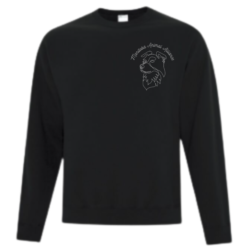 Aurora Crewneck Sweater in Black Main Image