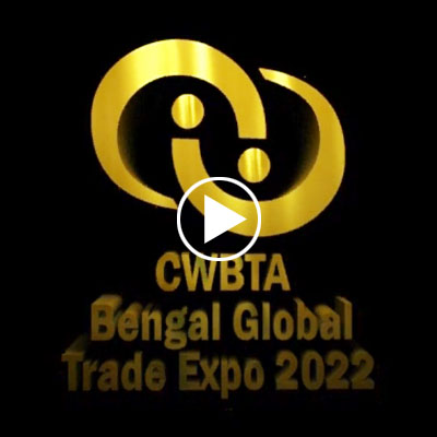 Logo Reveal / other promotional – 15 -30 Sec