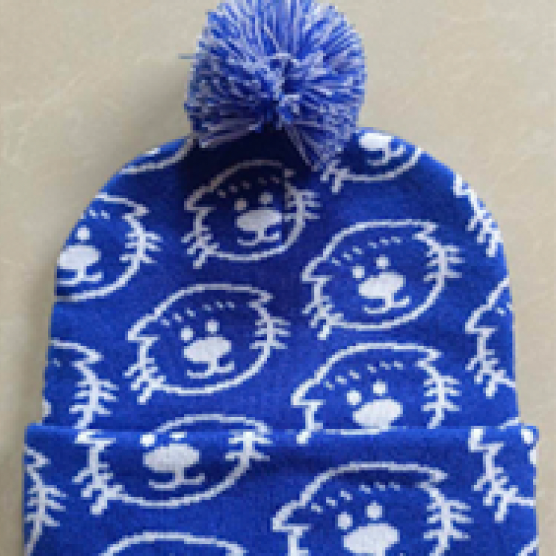 Patterned Ollie beanie