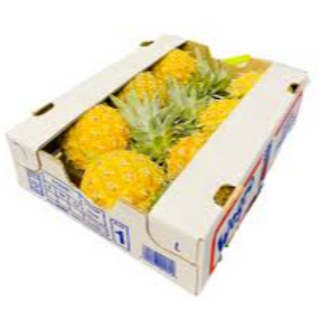 Pineapple Small - Tray of 7