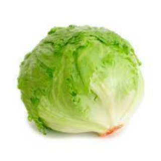 Lettuce Head 