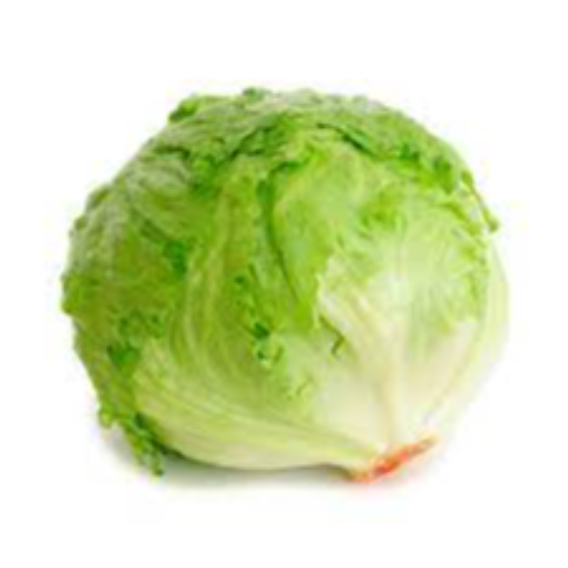 Lettuce Head  Main Image