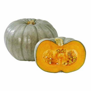 Crown Pumpkin Medium