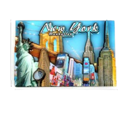 NYC MAGNET 83975