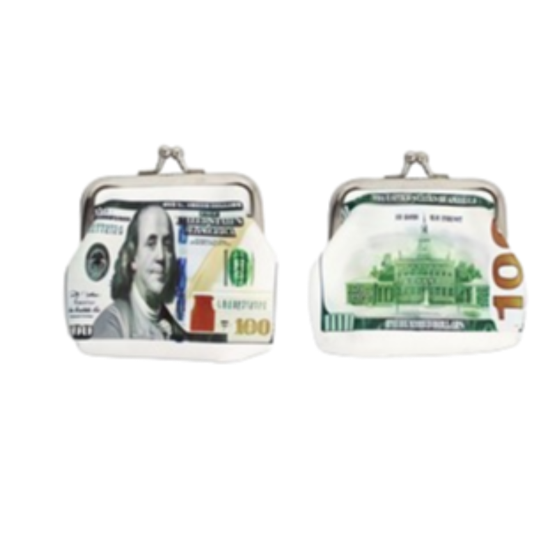 $100 COIN PURSE 376633