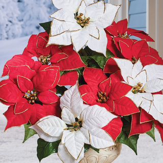 4.5" poinsettias- choose your colors (picture is for reference and not actual product)