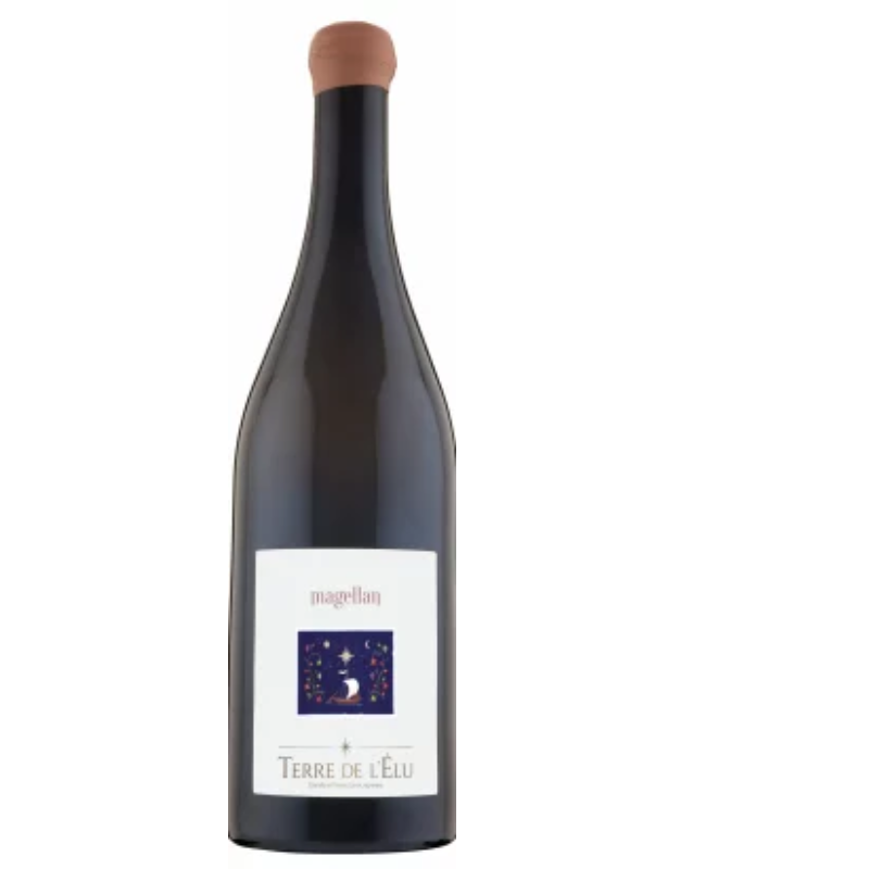 Magellan 2020-21 selon dispo / Rouge