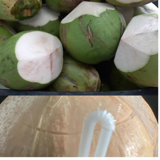 # of Green Coconuts  for Day 2