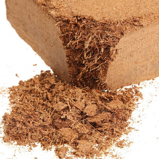 COCOPEAT BRICK 5 KG