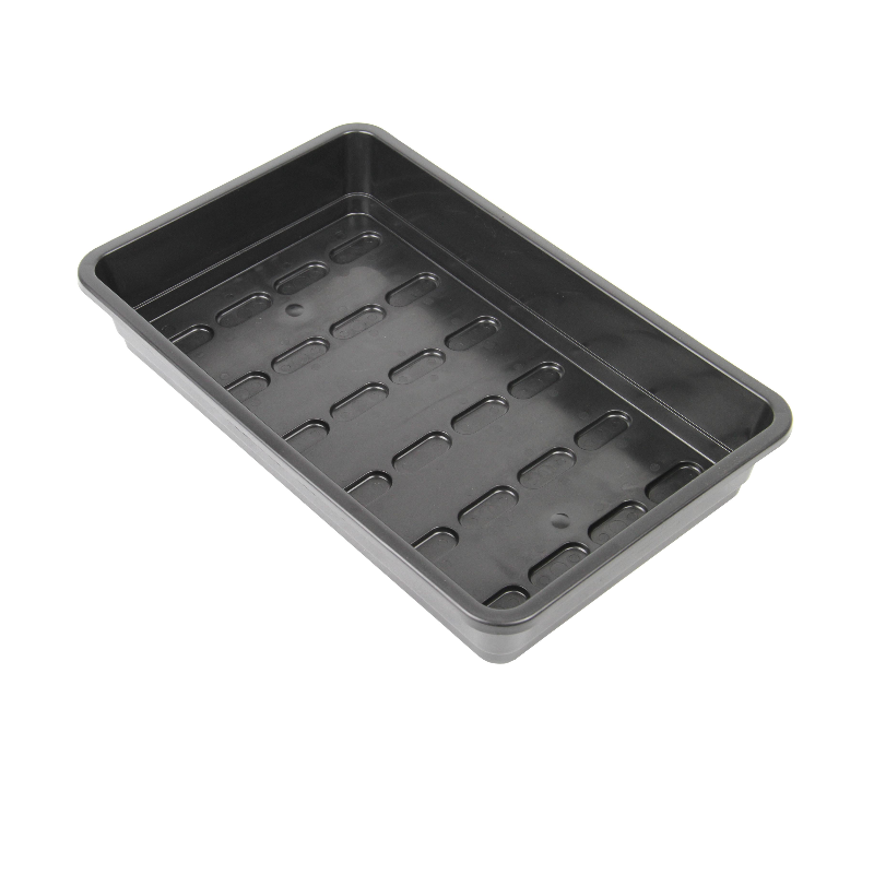 SEED TRAY Main Image