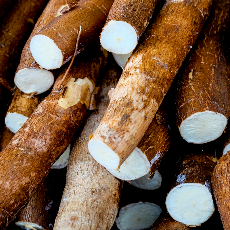 Cassava Main Image