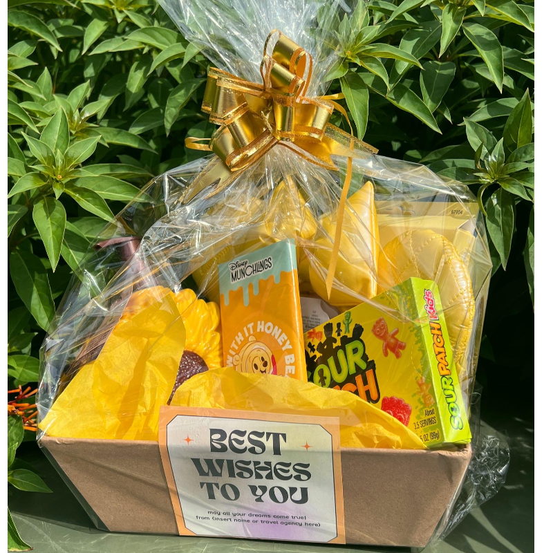 Color Customized Large Disney Basket 