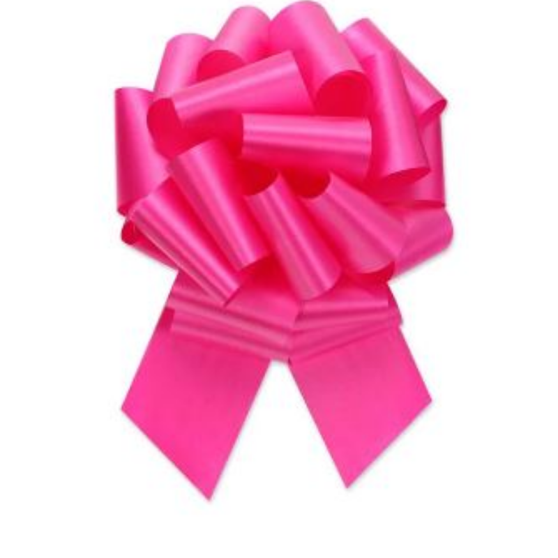 #5 (Small) Pull Bows Beauty