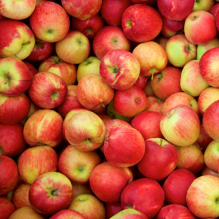 Apples-Jonagold, 3lb Bag