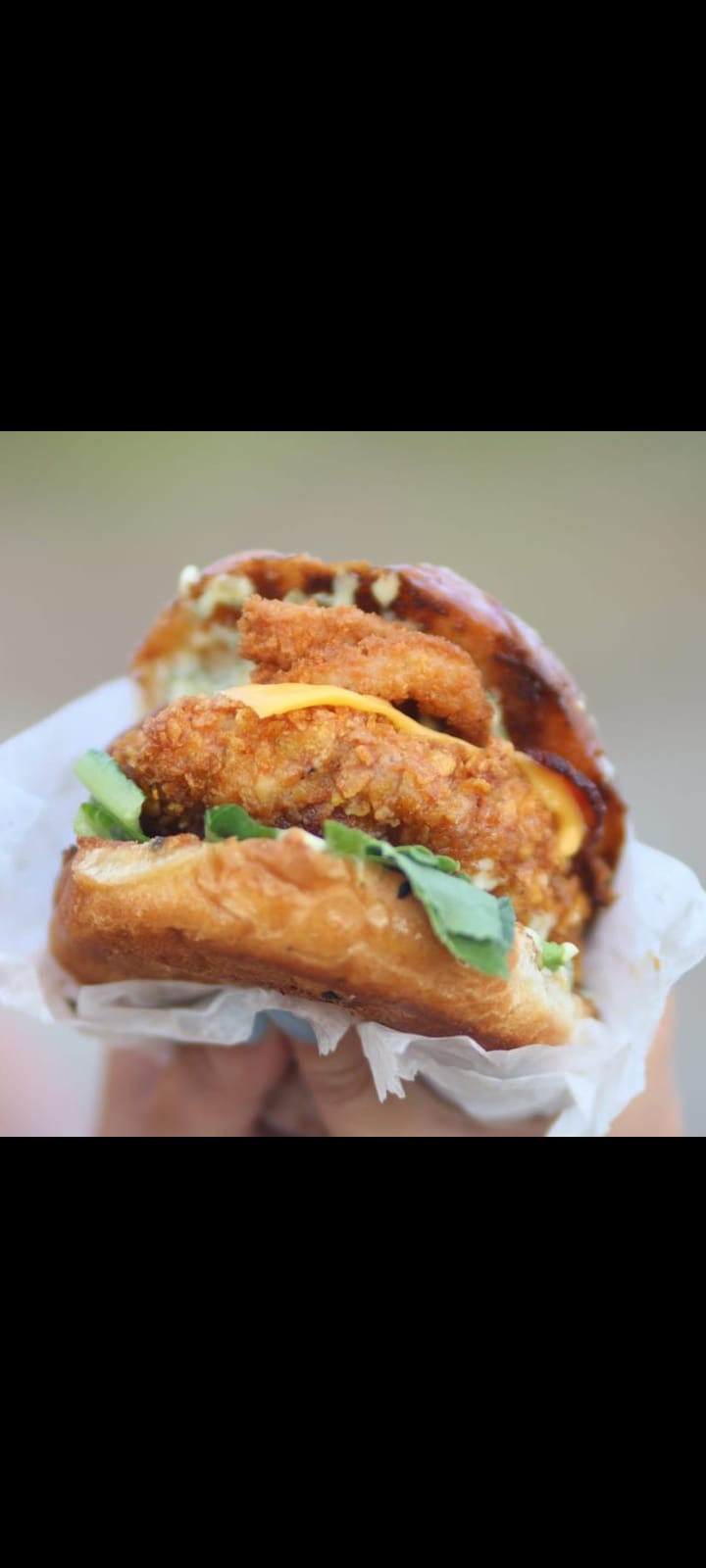Crispy Chicken Burger with Fries
