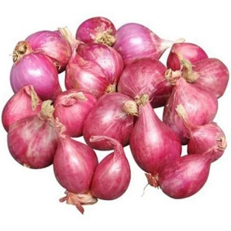 Onion