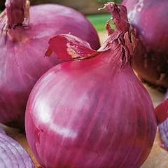 Red onions (One bag)