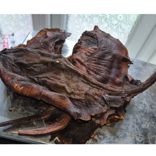 Sting Ray fish {215g}