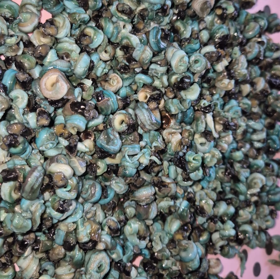 Periwinkle 150g
