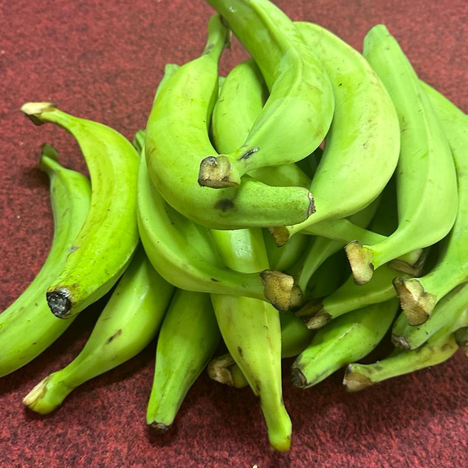 unripe plantain (will never be ripe)