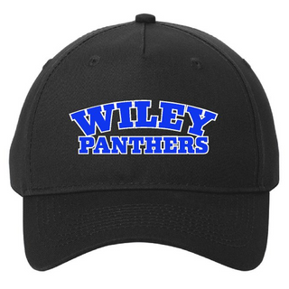 College Style Hat