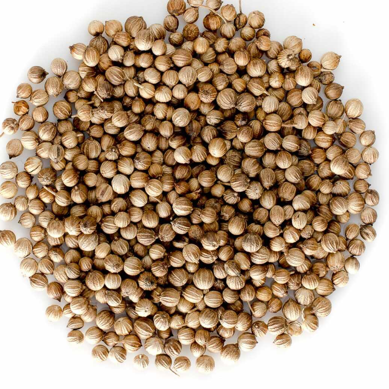 Coriander seeds  Main Image