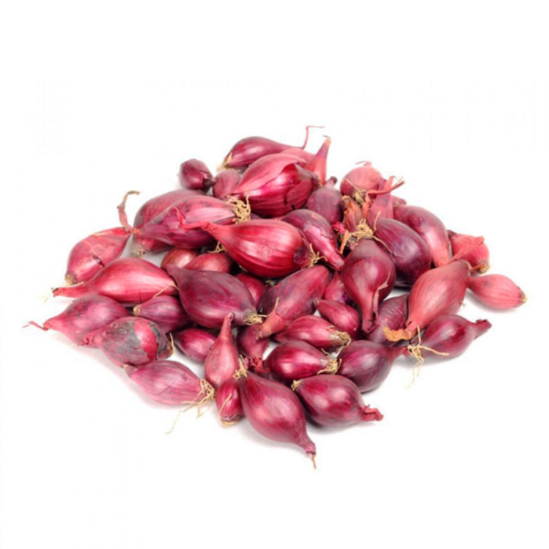 Red Onion  Main Image