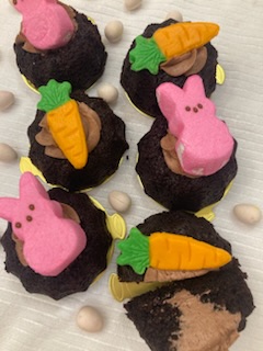 Spring Garden box -Half Dozen