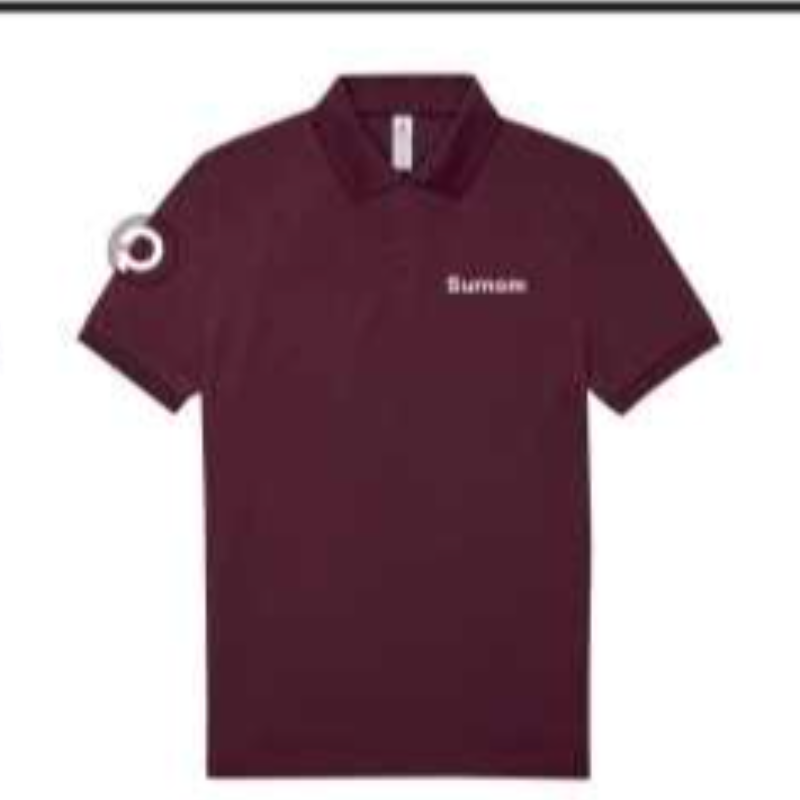 Polo Burgundy Main Image