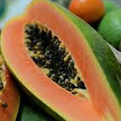 004- Papaya (1 unidad) 