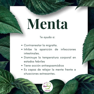 006- Menta (50 grs) 