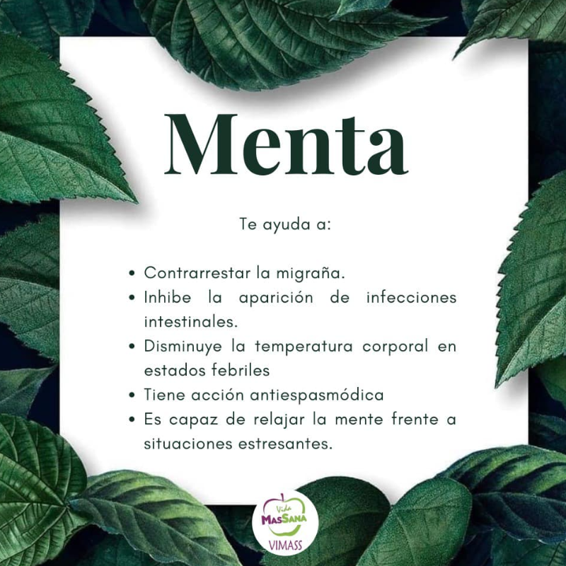 006- Menta (50 grs) 