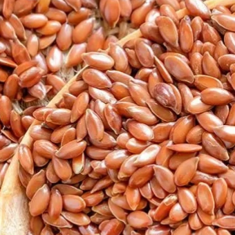 004 - Linaza en grano (227 gr)