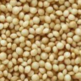 004 - Amaranto en grano (227 gr)