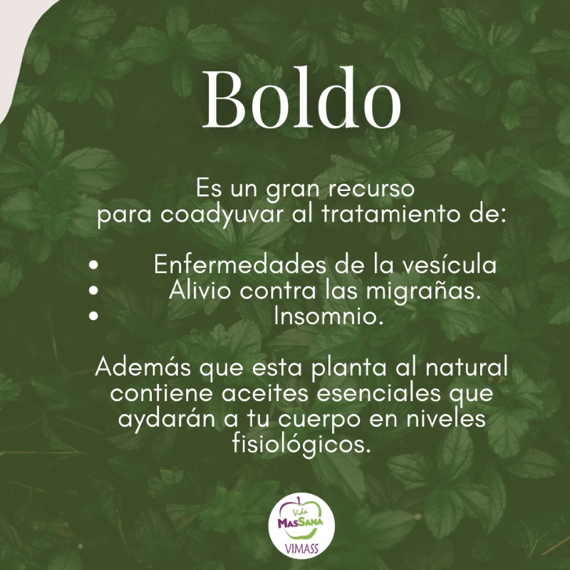 006- Boldo (50 grs) 