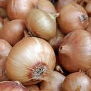 004 - Cebolla (kilo)