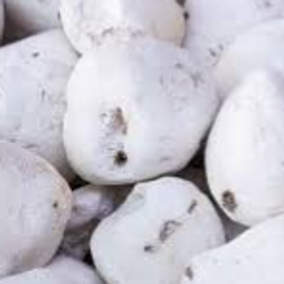 002 - Tunta (1 Libra)