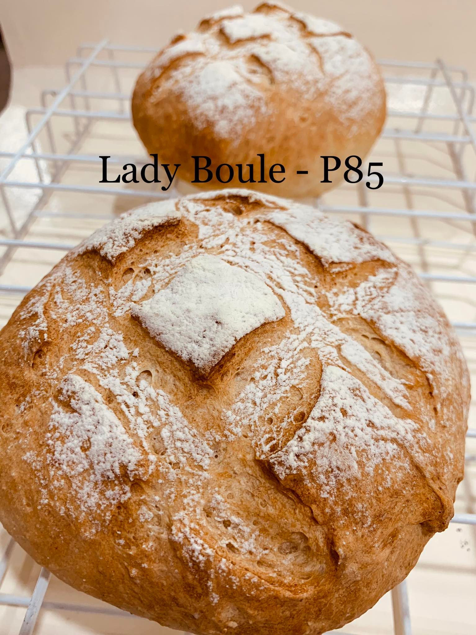 Lady Boule Main Image