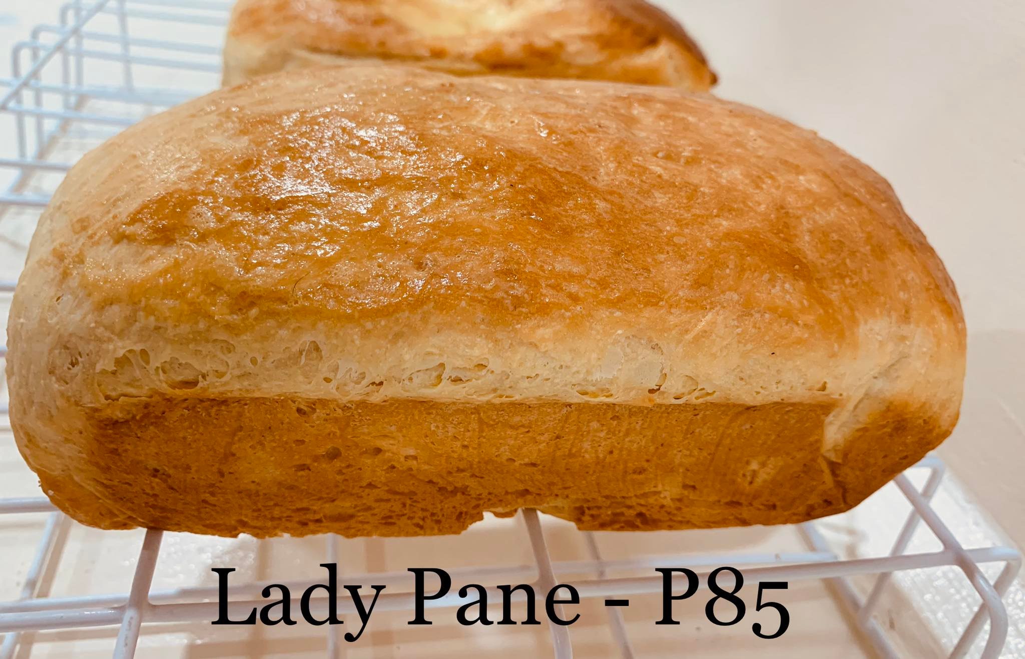 Lady Pane Main Image