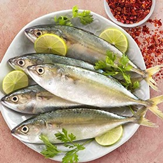 Indian Mackerel / Ayala Meen - 1.1 LB