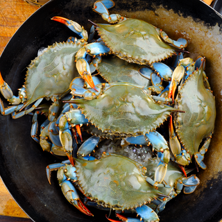 Blue Crab - 1.1 LB