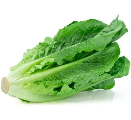 Lettuce Romaine