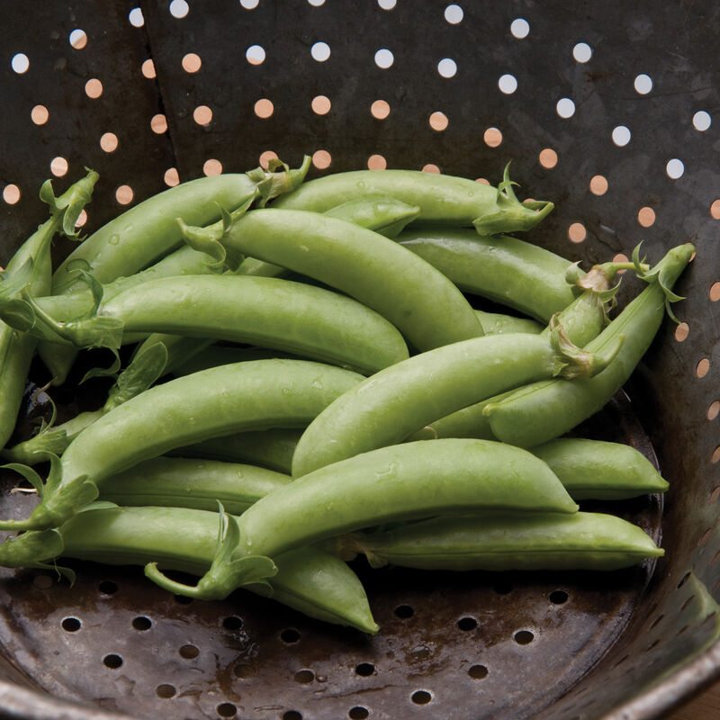 Snap Peas Main Image