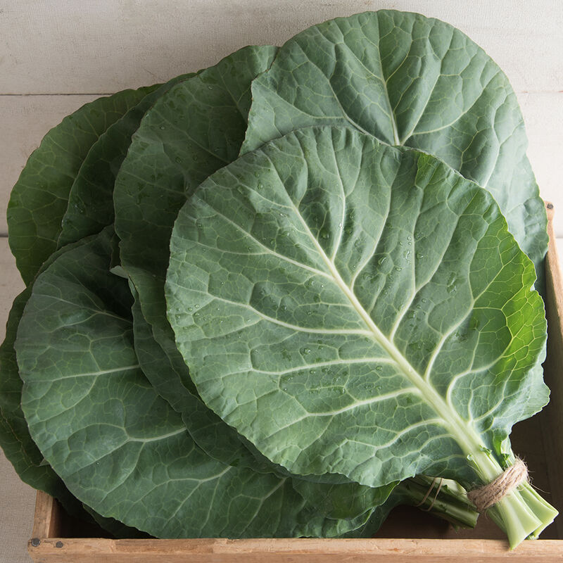 Collards Main Image