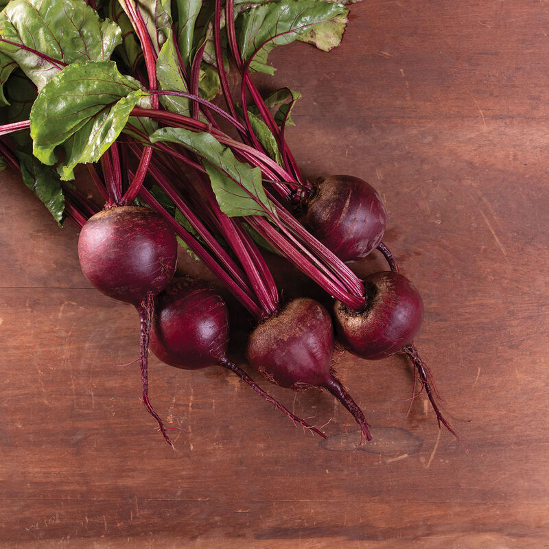 Beets Main Image