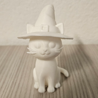 Witch Cat